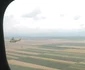 flori avion