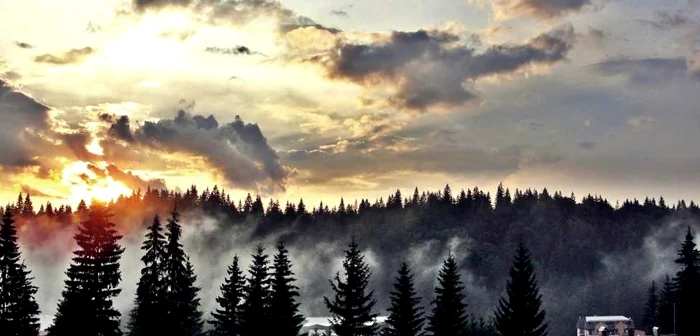 Cea mai votată poză de până acum, din Braşov. Culoare: galben, Foto: Miruna Paiuc