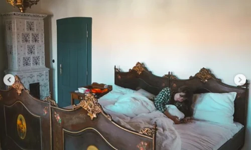 dana rogoz casa viscri jpg