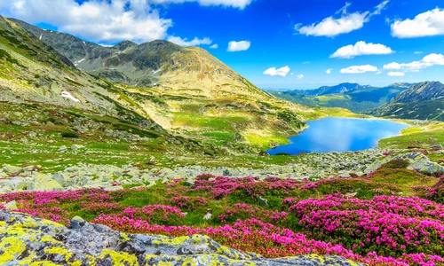 1 shutterstock 268993172 jpg jpeg