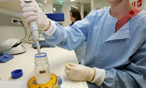 Fertilizare in vitro