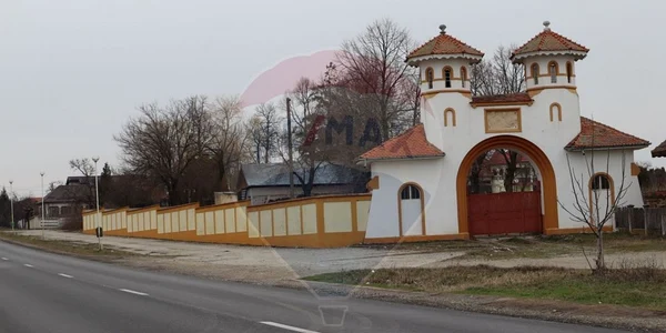 conacul romano e de vânzare - foto agenţia remax