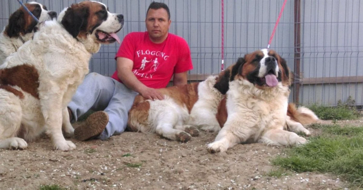 Cristi Peter si câţiva din câinii săi