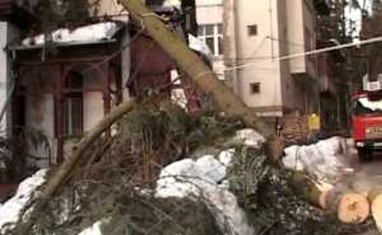 Copacul a distrus un perete al casei şi o parte din acoperiş (capută rtv.net)