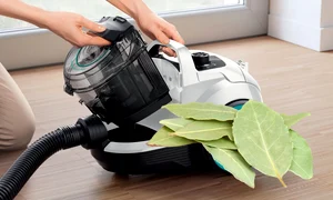 de ce sa pui o frunza de dafin in aspirator webp