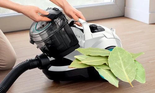 de ce sa pui o frunza de dafin in aspirator webp