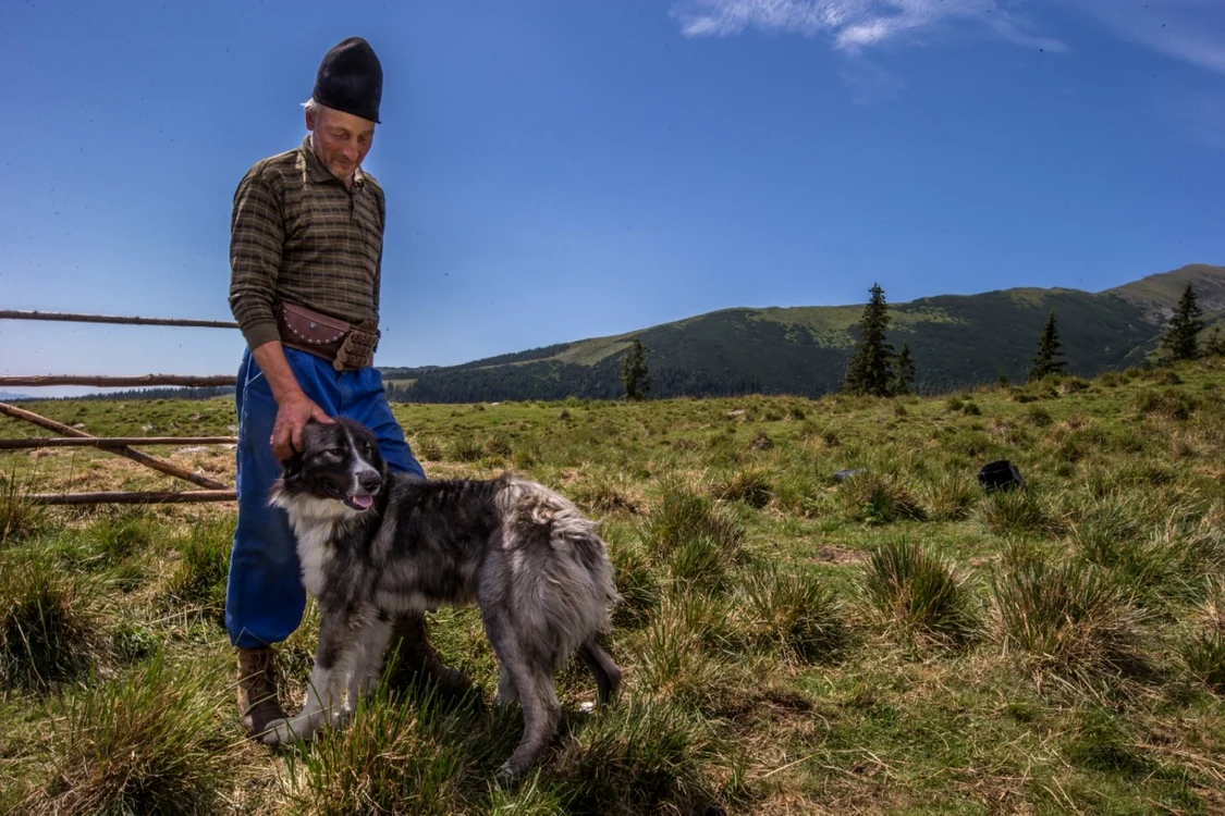 Fermier din Argeş cu un câine ciobănesc donat de Fundaţia Conservation Carpathia FOTO:David Hub & Michiel van Noppen