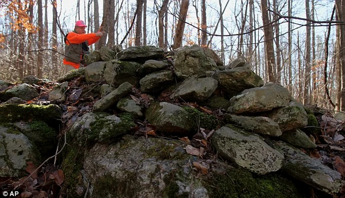 article 2082720 0F595B4A00000578 637 634x364 jpg jpeg