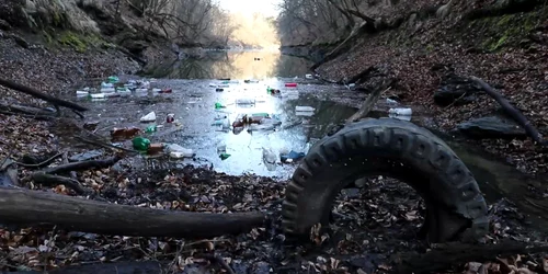 5e5e77b25163ec4271ada9ff jpg