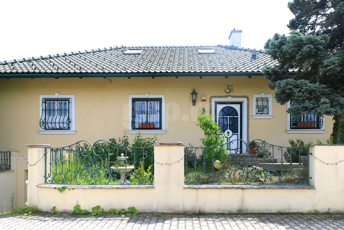 Cum arată casa din Austria unde au locuit Cristela și Călin Georgescu / foto: GSP
