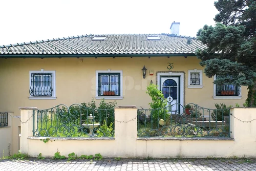 Cum arată casa din Austria unde au locuit Cristela și Călin Georgescu / foto: GSP