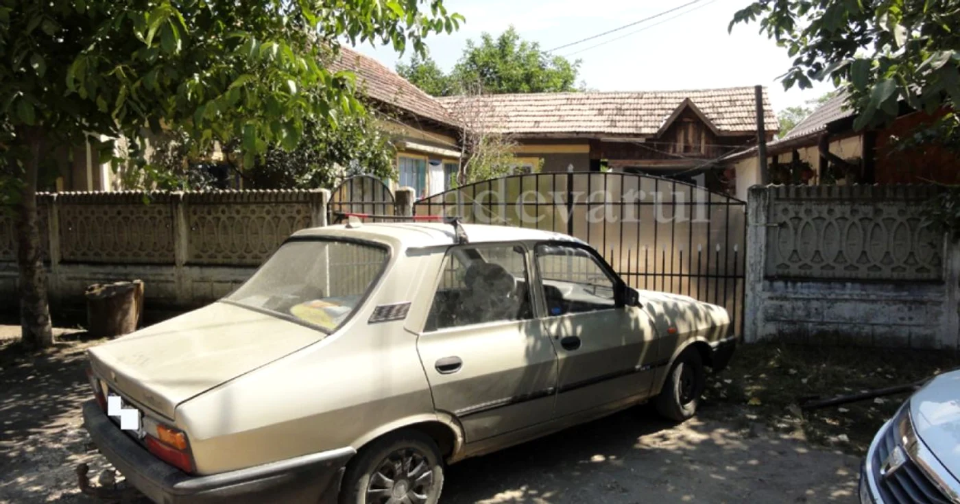viol rusanesti 