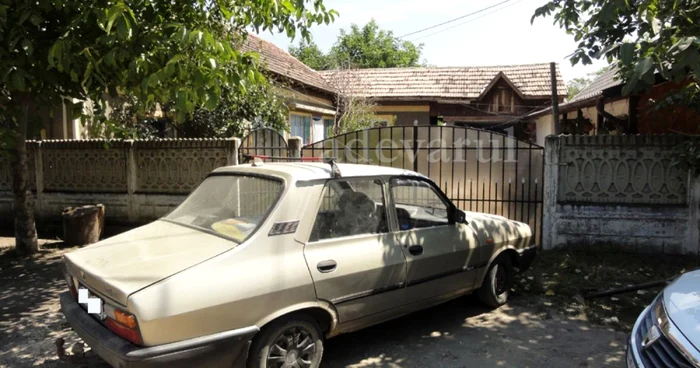 viol rusanesti 