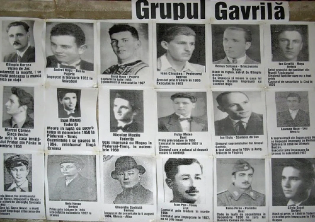 Partizanii din Făgăraş