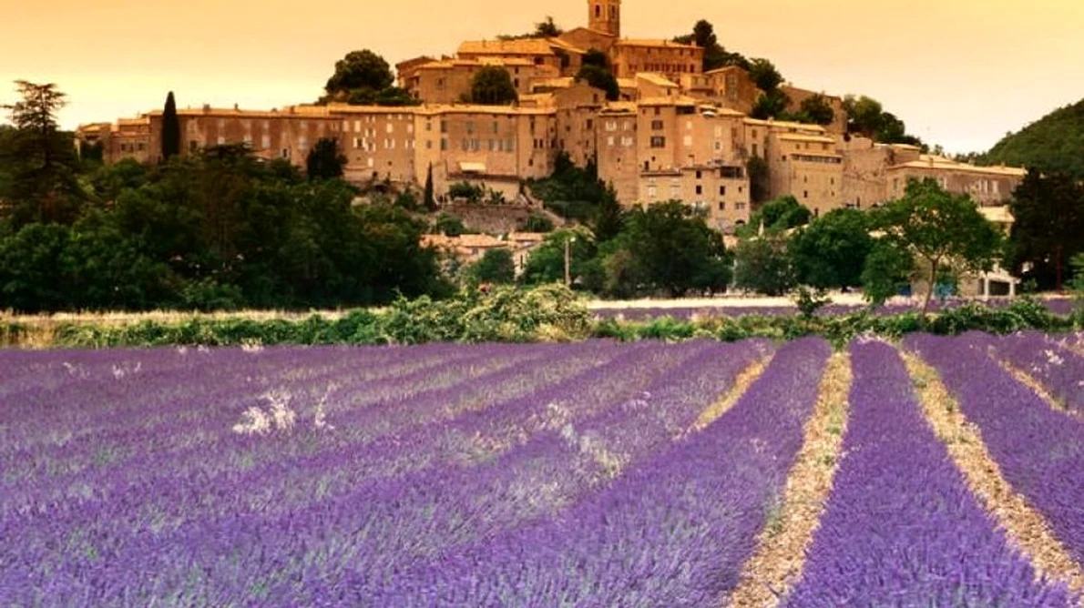 Provence: povestea, paradisul, parfumul jpeg