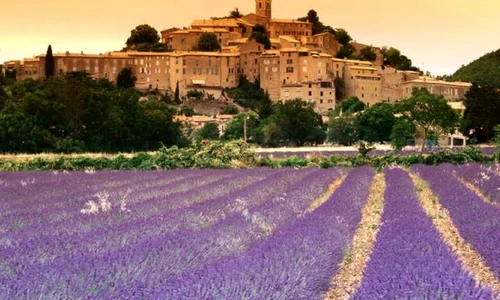 Provence: povestea, paradisul, parfumul jpeg