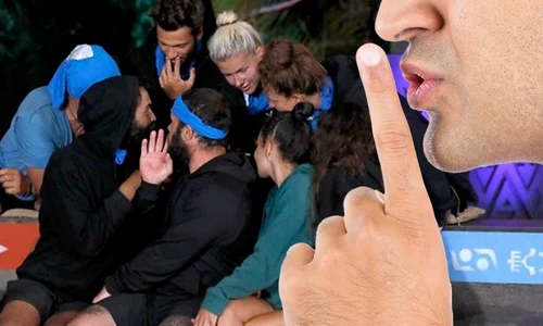 banner survivor 