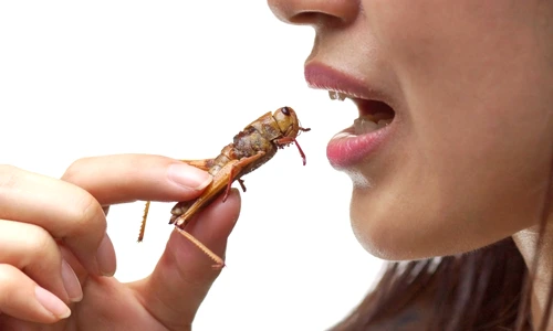 1 shutterstock 620329817 jpg jpeg