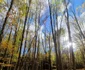 Parcul Național Domogled Valea Cernei  Foto Romsilva (6) jpg