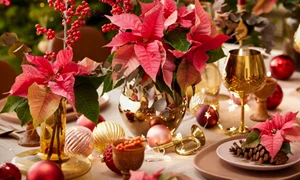 decoratiune png
