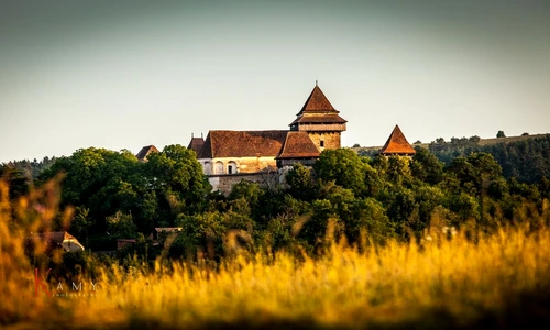 1 76828 original jpg jpeg