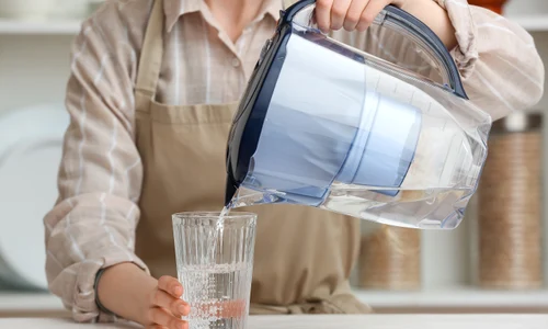 shutterstock 2316715239 jpg