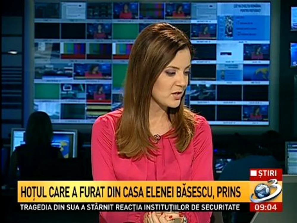 Uşa apartamentului Elenei Băsescu nu era închisă