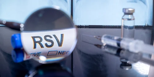 shutterstock 2333746875 jpg