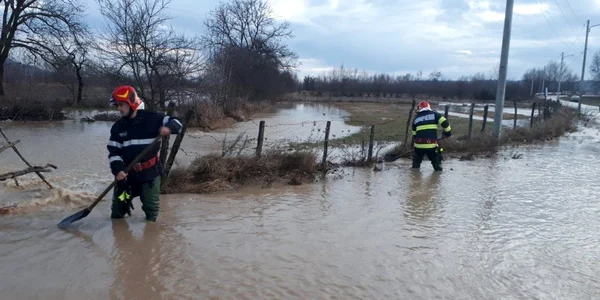 Inundatii Timis jpeg