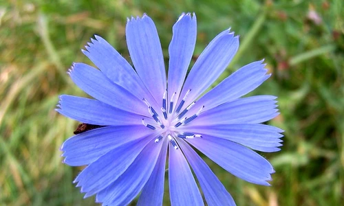 1 64576 original jpg jpeg