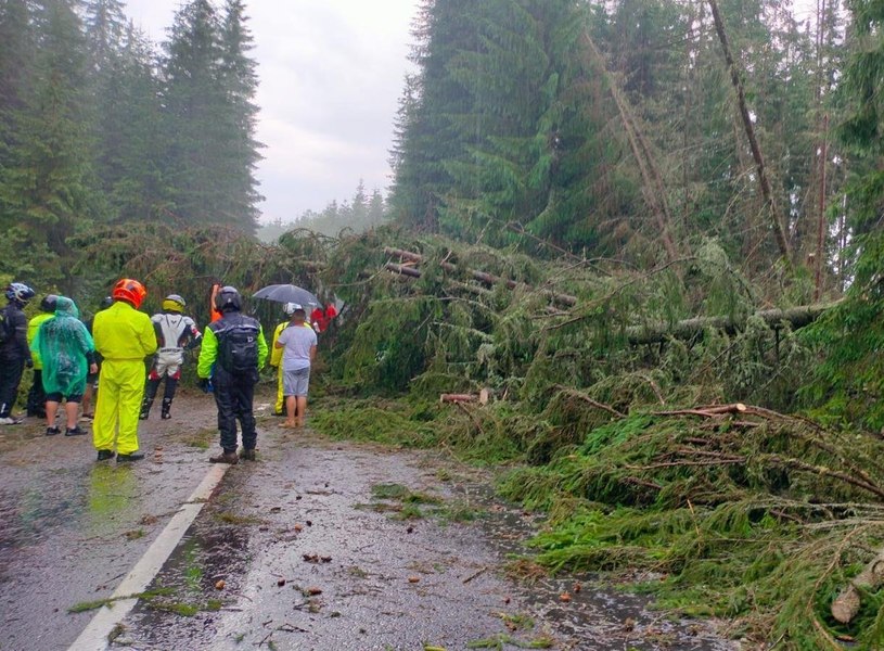 Zeci de mașini, blocate pe Transalpina după ce vântul a doborât mai mulți copaci