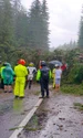 Copaci darâmați de vijelie pe Transalpina FOTO Meteoplus / Facebook