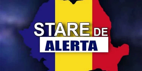 stare alerta