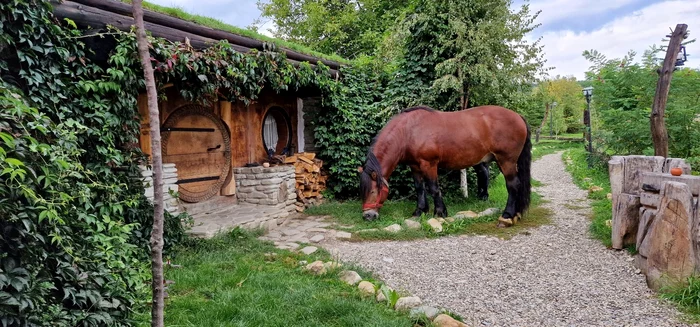 Pensiunea are un pitoresc aparte FOTO Destinatiaanului.ro