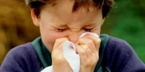 Bistriţa : Peste 2.400 de bistriţeni cu boli respiratorii – Adevărul la minut