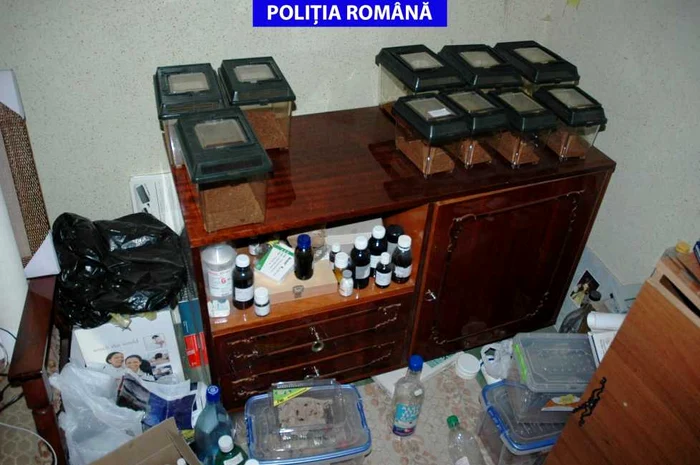 Tânărul se pretindea medic specialist în medicină complementară