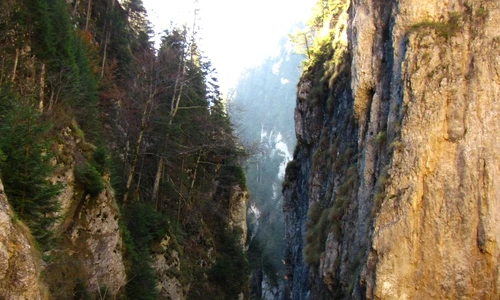 1 51651 original jpg jpeg