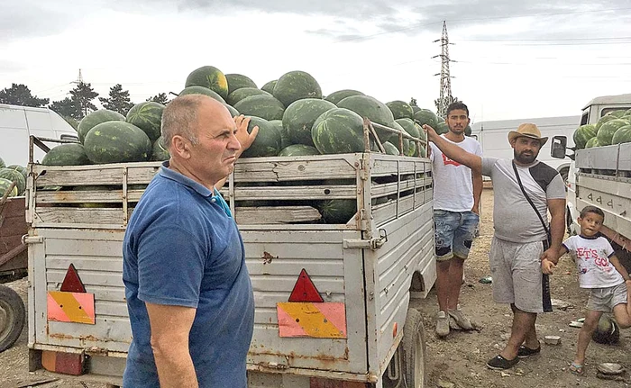 
    Țăranii din Dăbuleni se feresc să vândă pepenii străinilor  