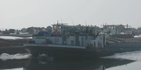 Nava Dunav