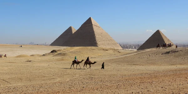 pexels indu bikash sarker 116278202 29690198 jpg
