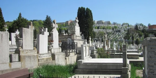 cluj