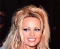 2 pamela anderson shutterstock 99310442 jpg jpeg