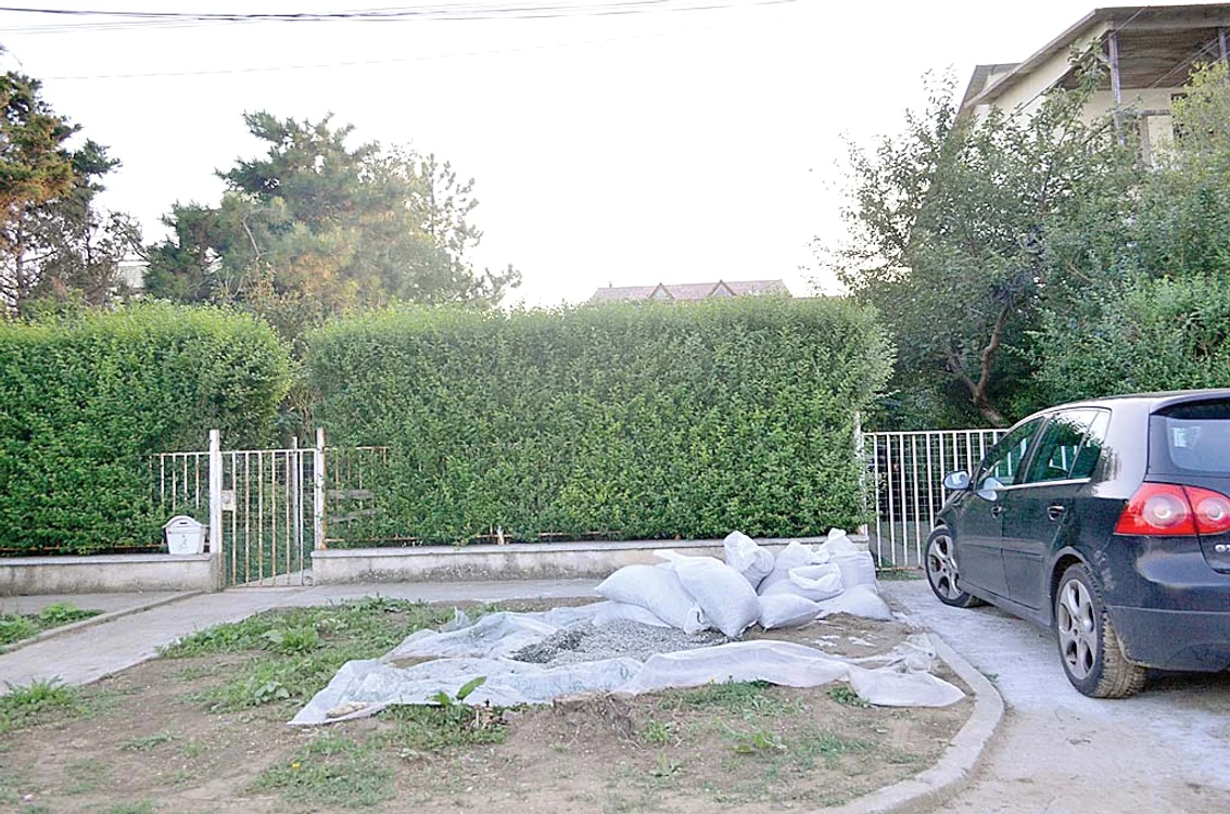 Maşina Danei era parcată în faţa casei din 2 Mai