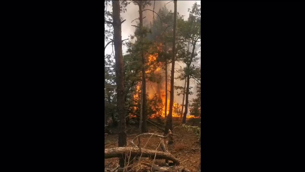 Incendiu la o pădure valoroasă de pin din Parcul Natural Porțile de Fier. Două aeronave Spartan au fost trimise în sprijinul pompierilor VIDEO