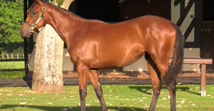 Iapa s-a vândut cu trei milioane de euro