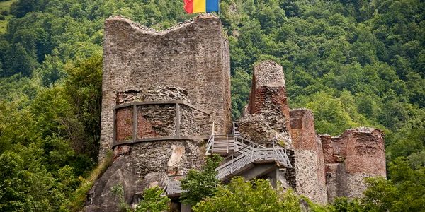 cetatea poenari foto consiliul judetean arges jpg