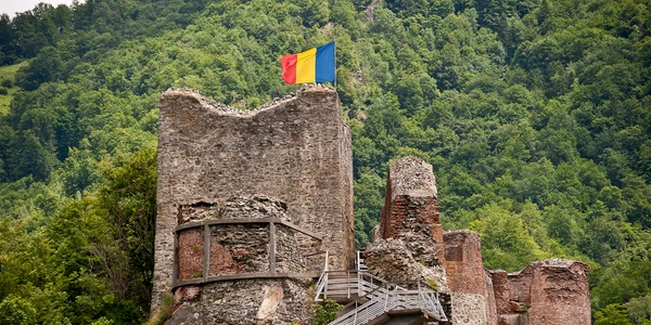 cetatea poenari foto consiliul judetean arges jpg