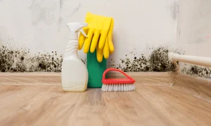 1 shutterstock 532074880 jpg jpeg
