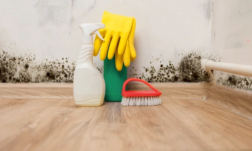 1 shutterstock 532074880 jpg jpeg