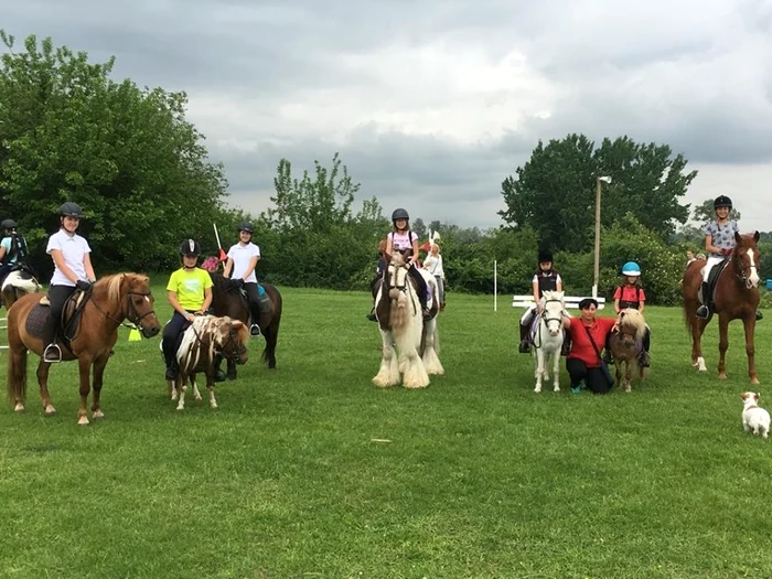 1 karpatia pony show 2019 4 jpg jpeg